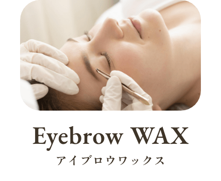 Eyebrow WAX アイブロウワックス